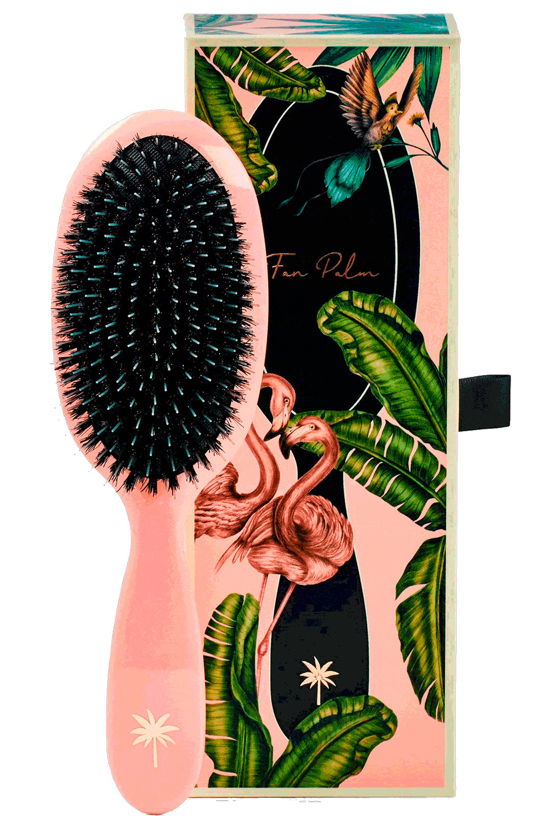 Fan Palm - Hair Brush Medium - Blush