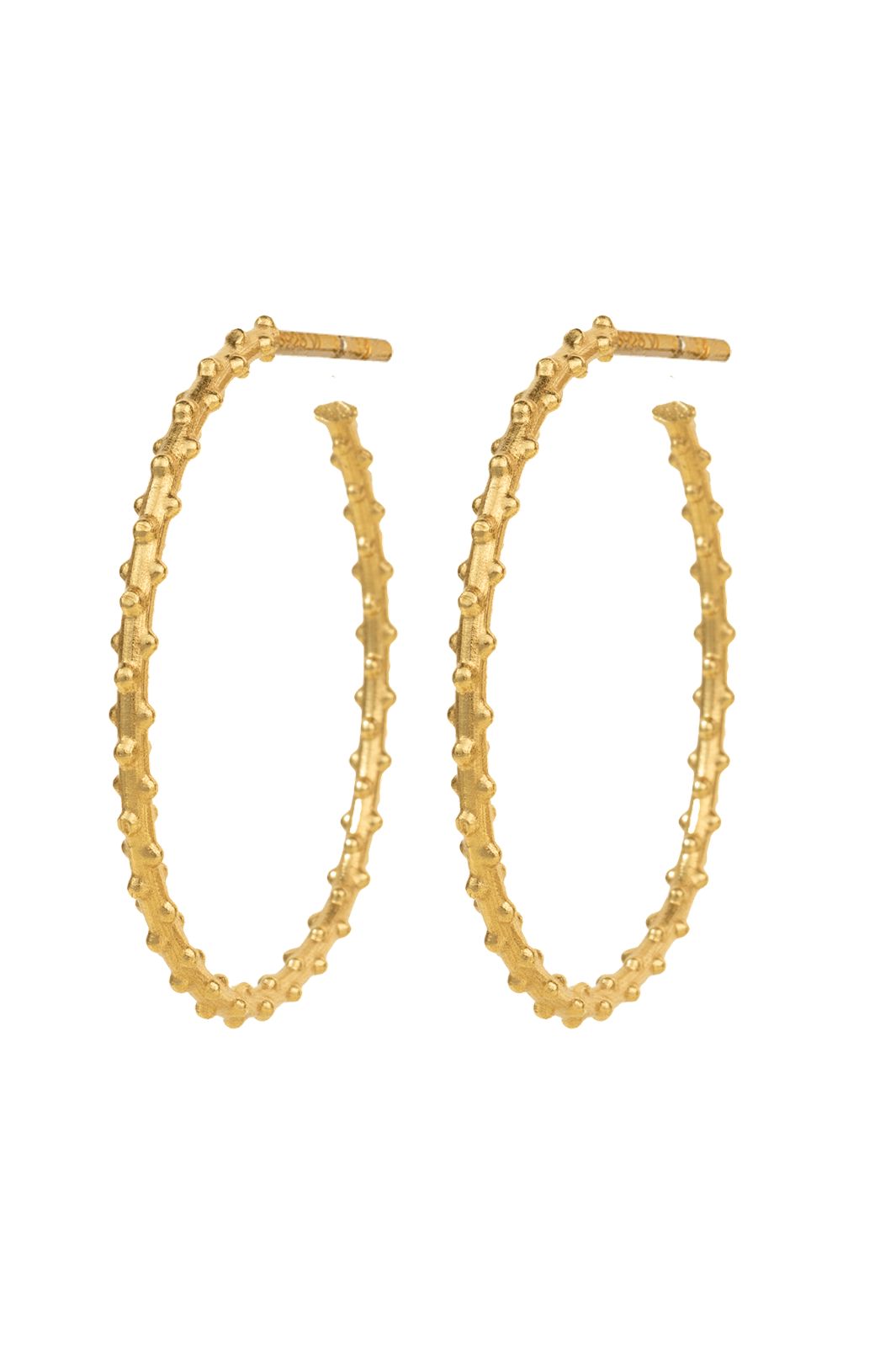 House Of Vincent - HOVElara Hoop Earrings VJ223-UEG - Gilded