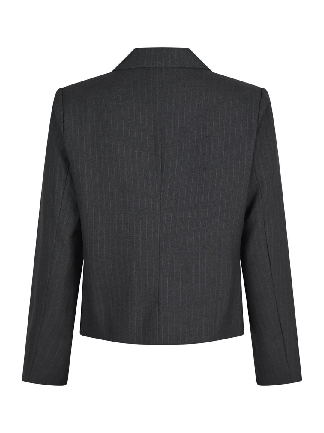 Neo Noir - Djarla Pinstripe Blazer - Antracit Blazere