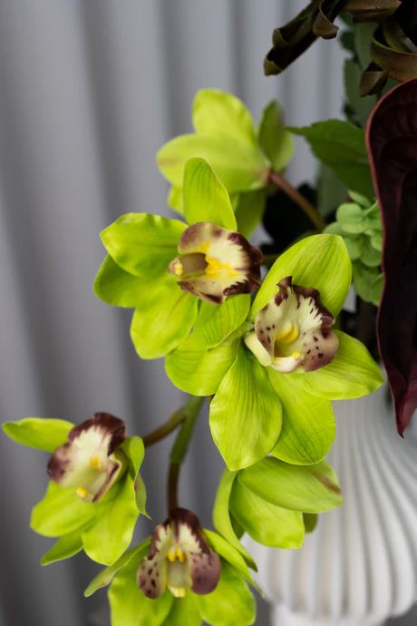 Bloom Objects - Sculpted Flora Bouquet 02-477 - Multi Dekoration 