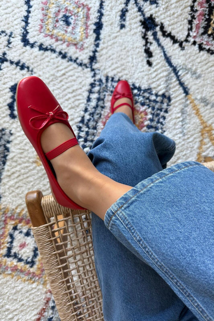 Bloom - Orchid - Red Ballerinaer 