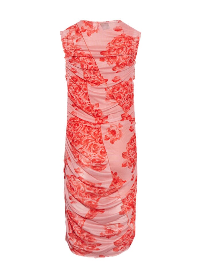 Noella - Sutton Short Dress - 486 Rose Print