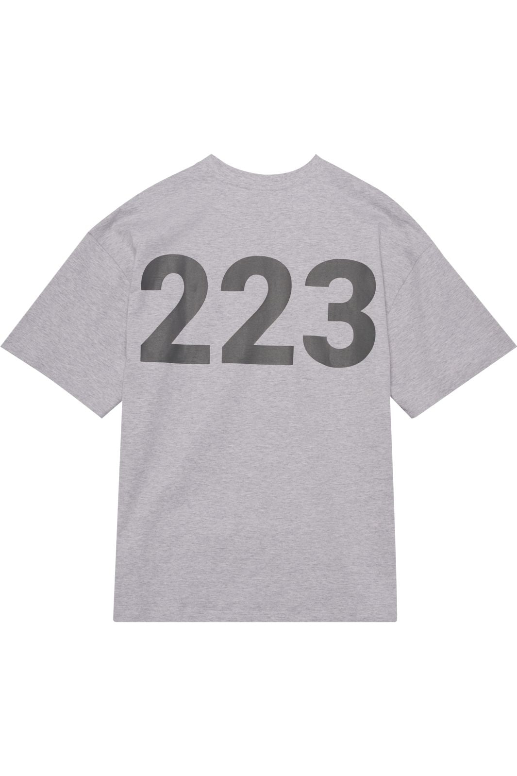 Halo - Graphic Boxy T-Shirt 230418 - 2010 - Light Grey Melange