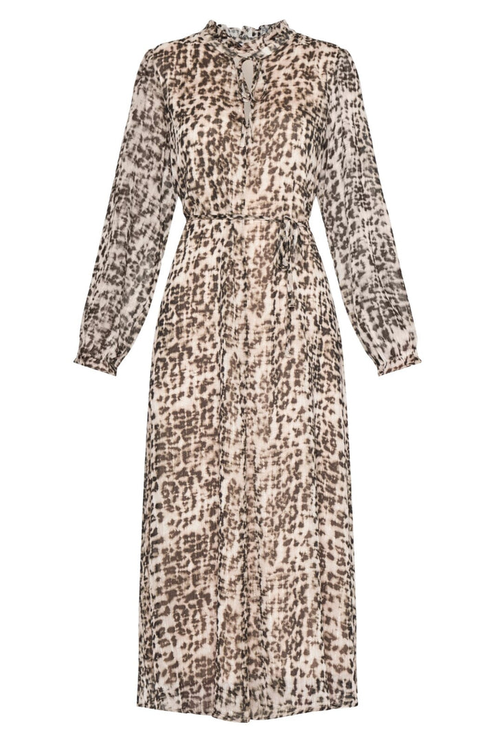 Love & Divine - Love1042 - 801 Leo