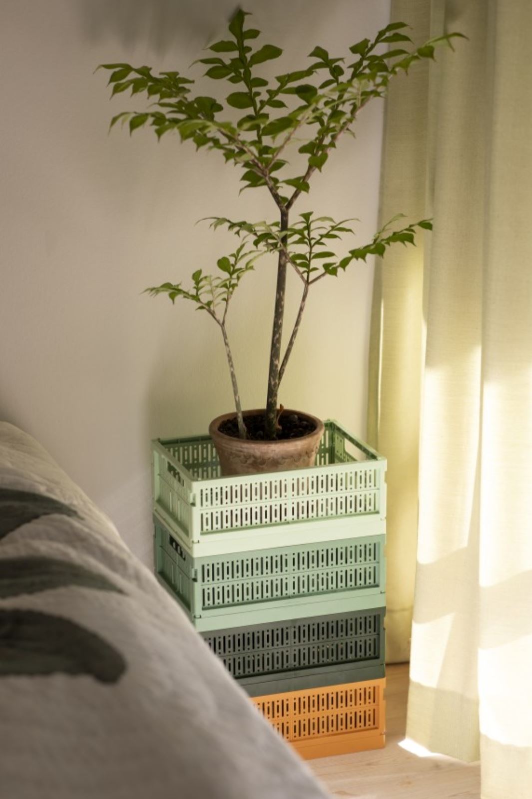 Made Crate - Midi - Spring Green