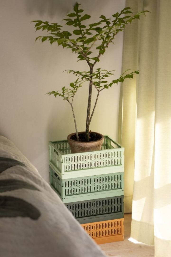 Made Crate - Midi - Spring Green