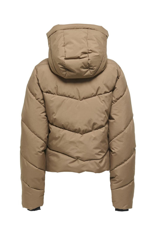 Only - Onlharper Life Short Premium Jacket - 4819157 Cocoa Créme